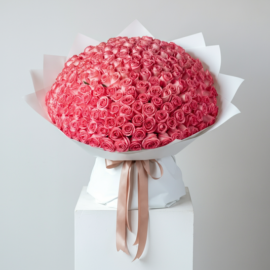 200 BLUSHING PINKS